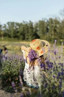 Profitez de nos circuits touristiques VTC pour découvrir les champs de lavande en Cévennes. Une expérience authentique au cœur de la nature, avec des arrêts mémorables.
